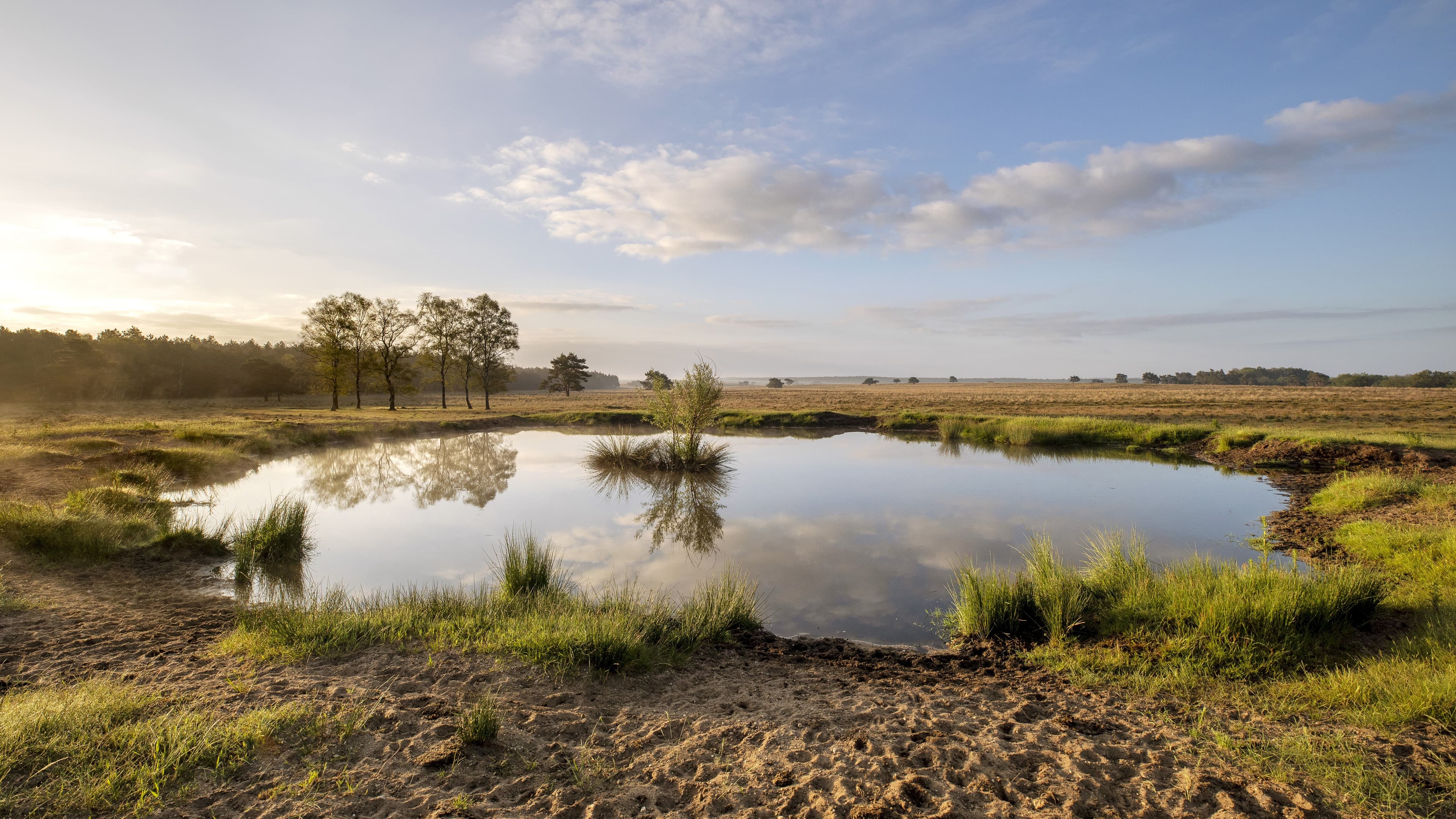 Een ven op de Veluwe