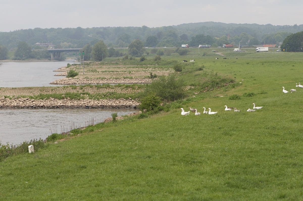 landschap foto met water