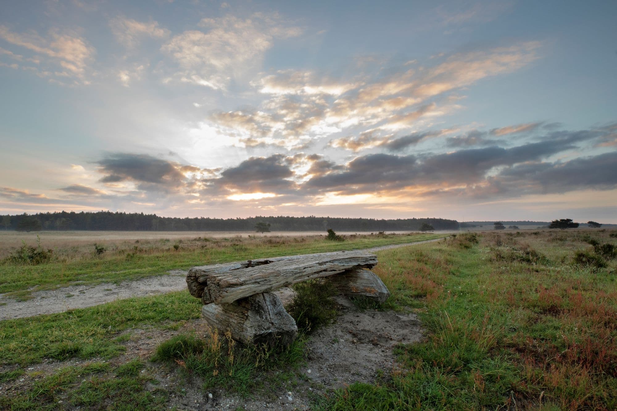 stikstof in de natuur