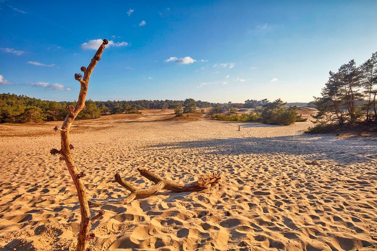 zandbank in de natuur
